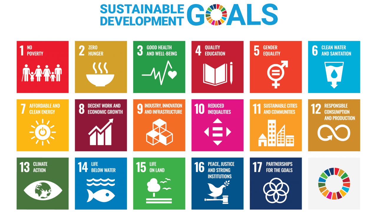 Sustainable Development Goals (SDGs)